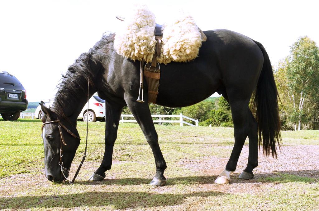 Pousada Fazenda A Casa Do Morro Cambará Zewnętrze zdjęcie
